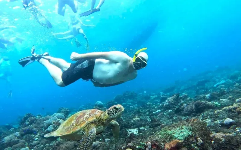 Nusa penida snorkling - alwa travel