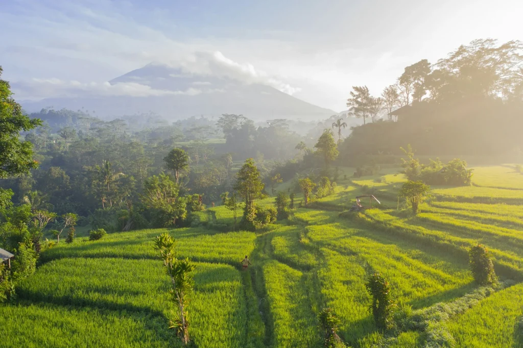 Why Choose AlwaTravel