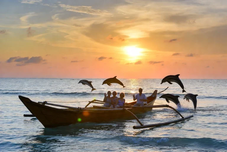 Lovina Dolphin Tour - Alwatravel